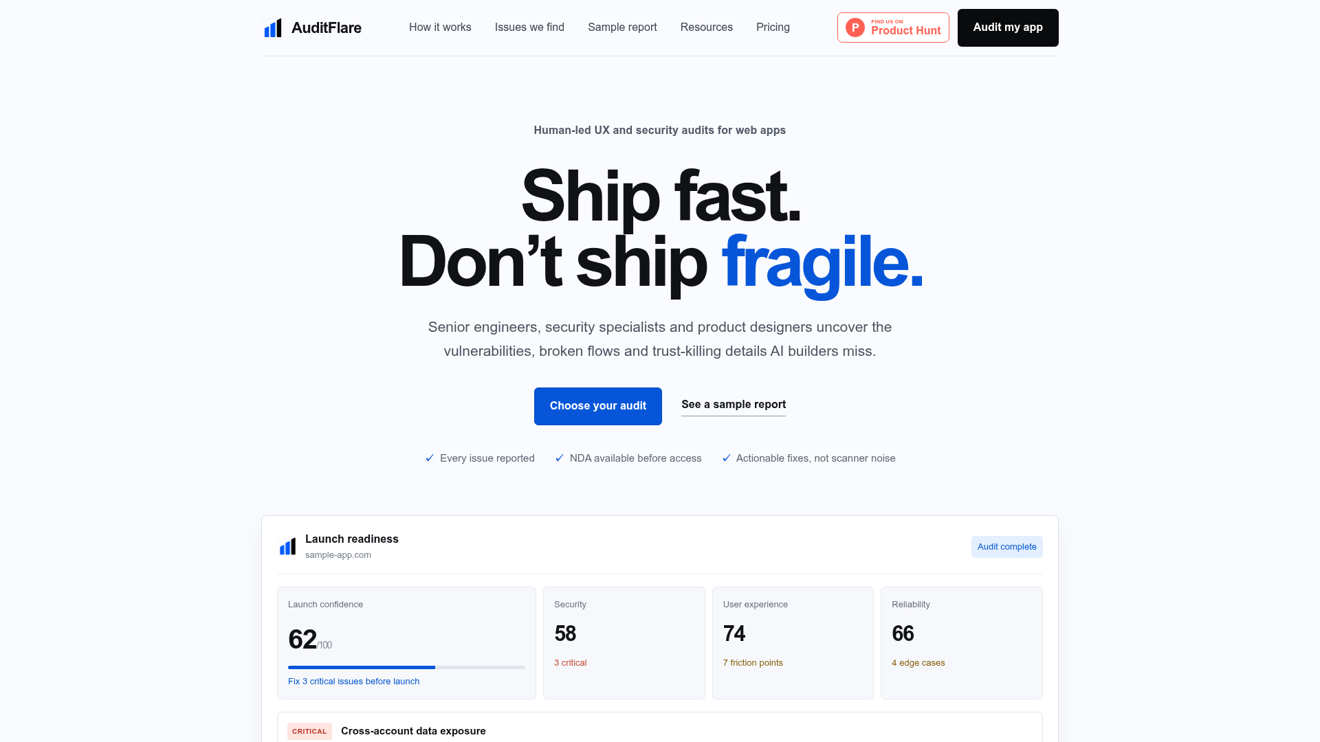 AuditFlare website