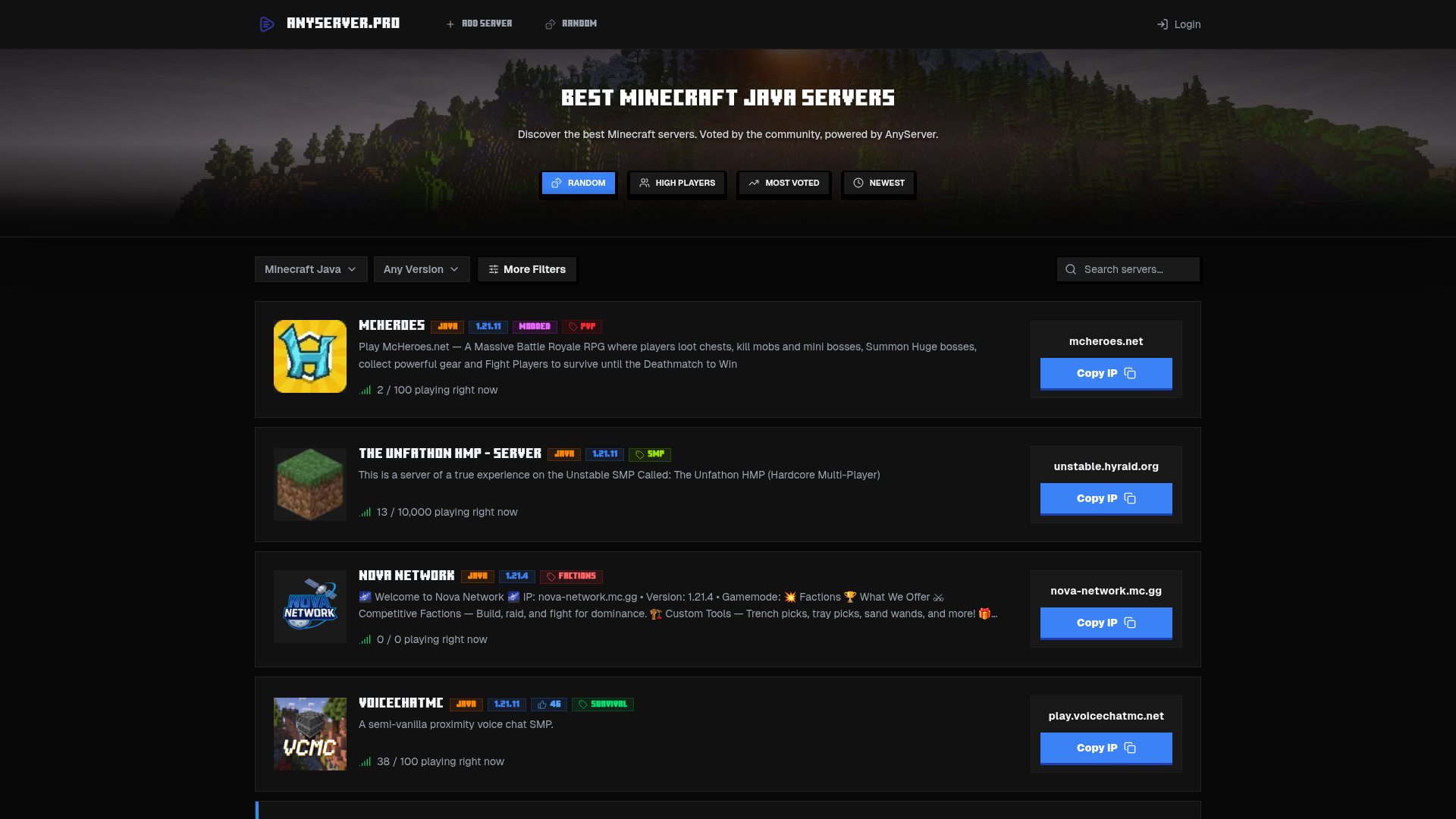 AnyServer.pro website