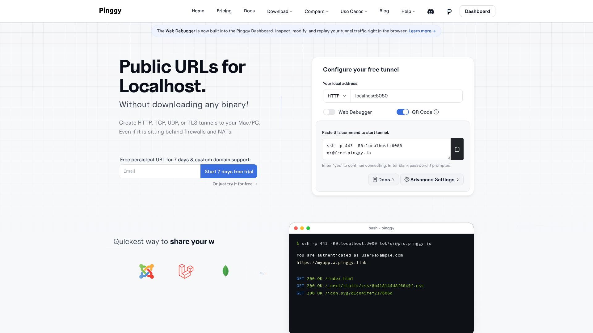 Pinggy website