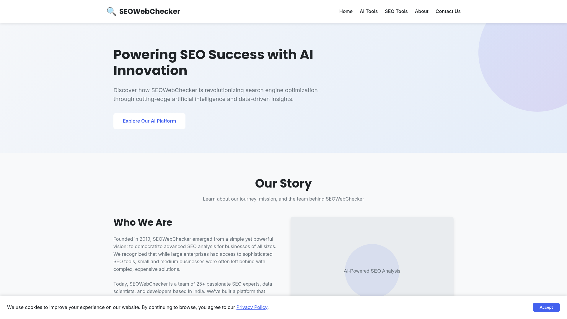 SEOWebChecker screenshot 2