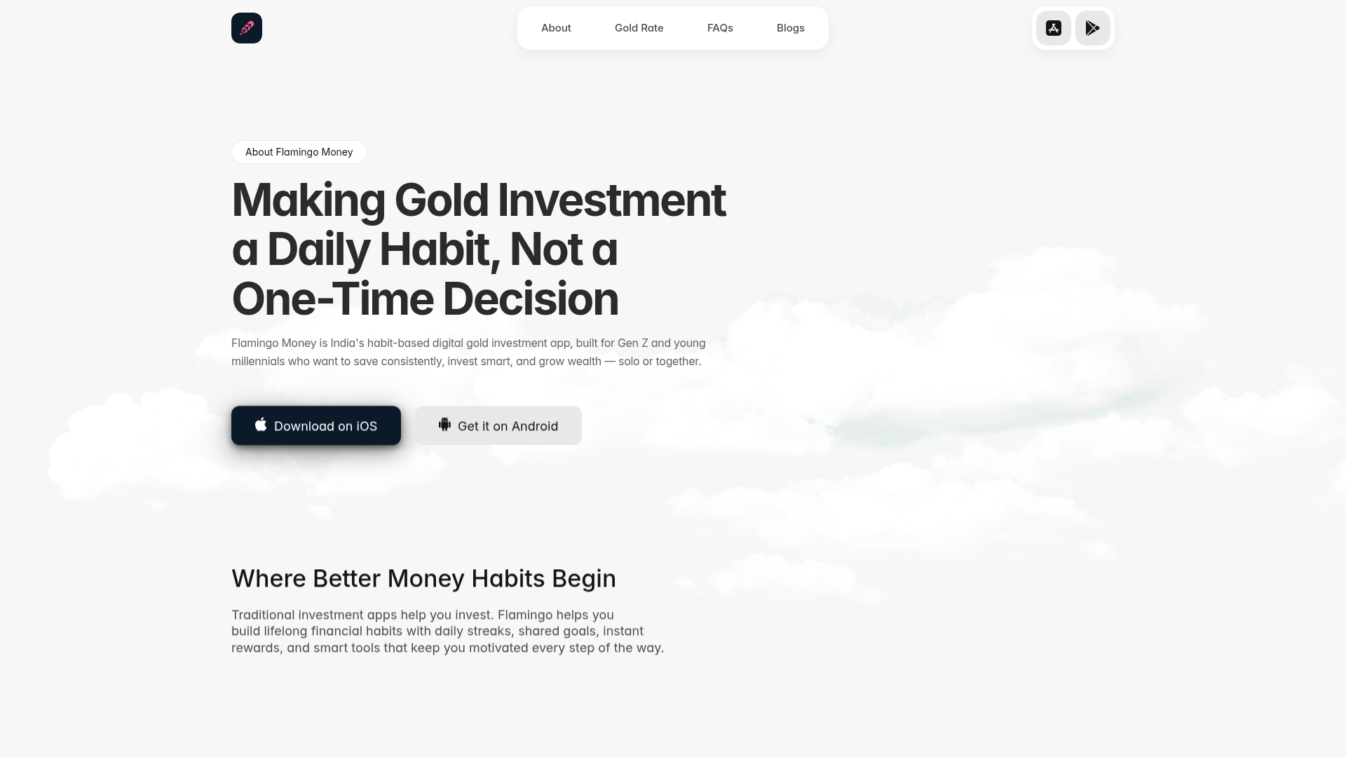 Flamingo Money screenshot 2