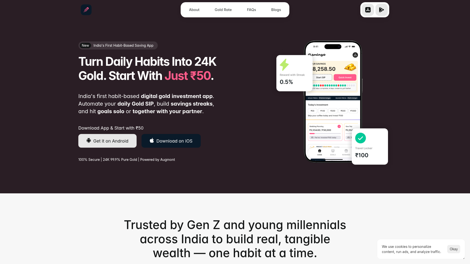 Flamingo Money website
